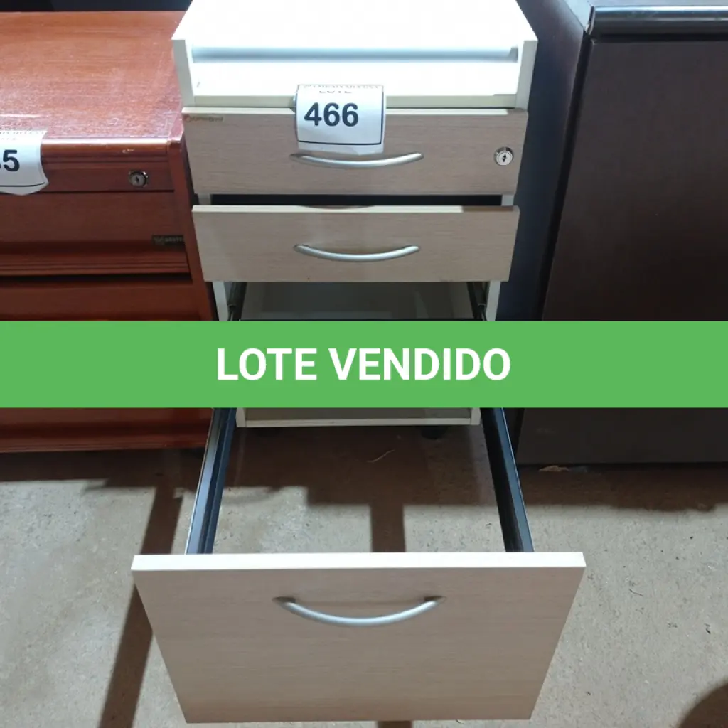 LOTE 466