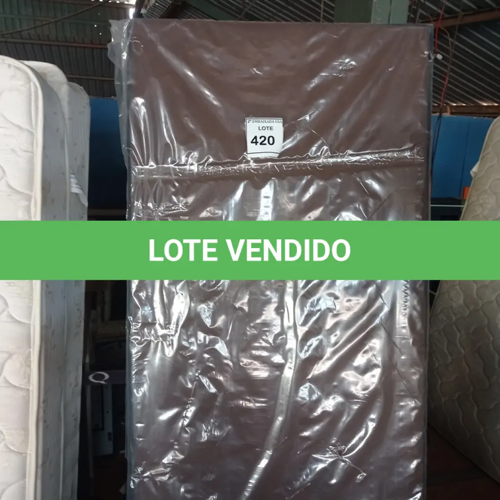 LOTE 420