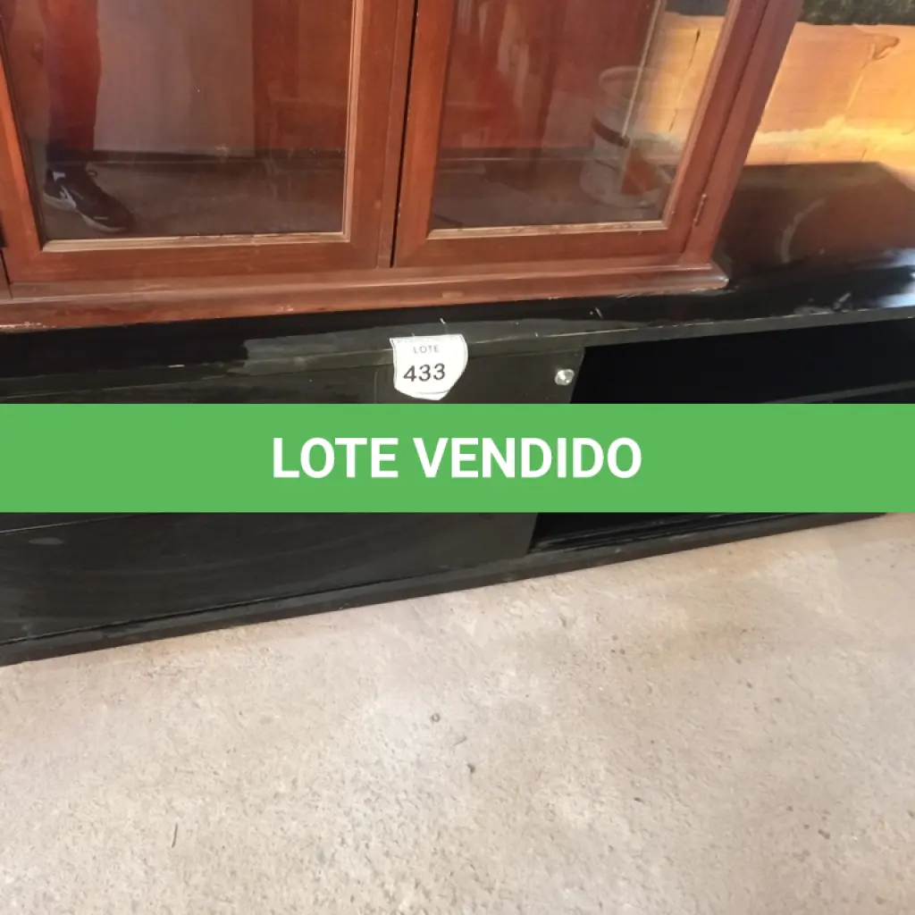 LOTE 433