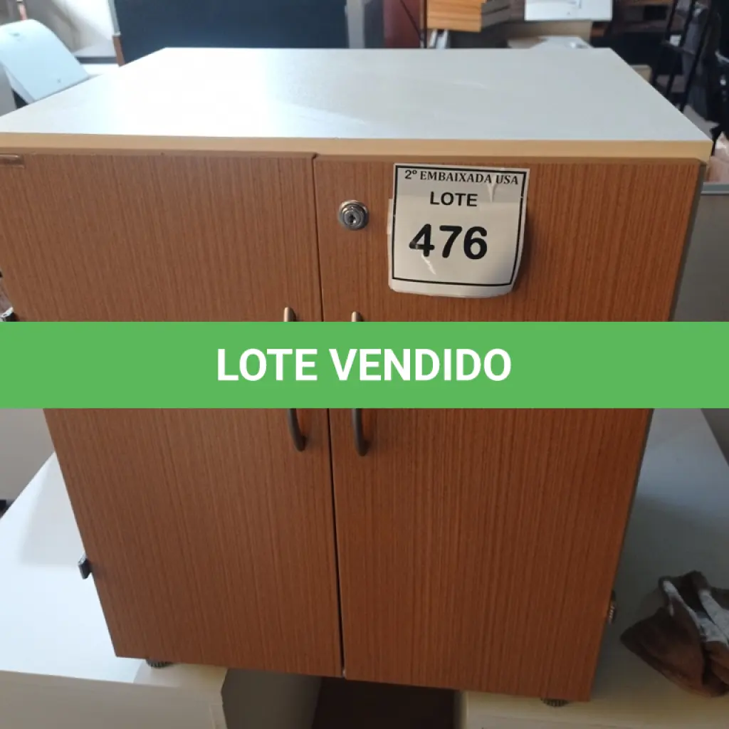LOTE 476