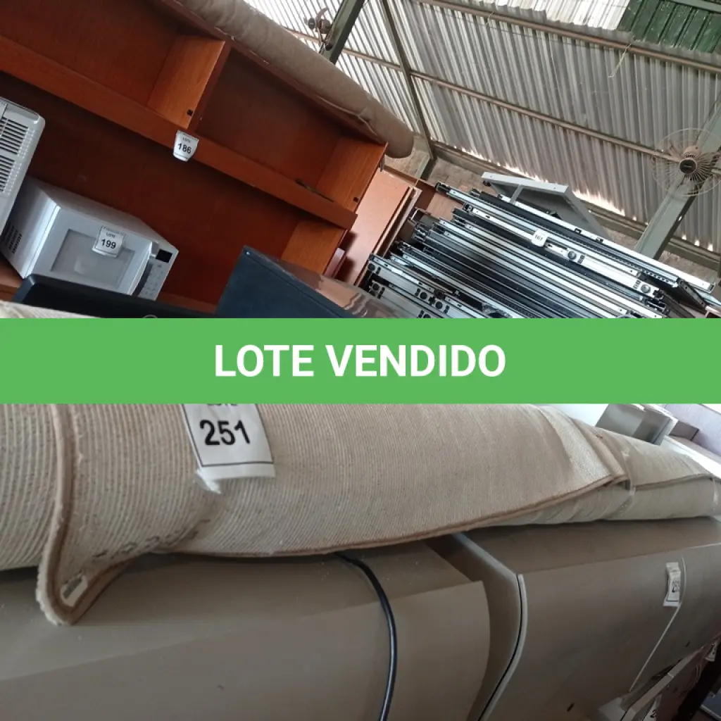 LOTE 251