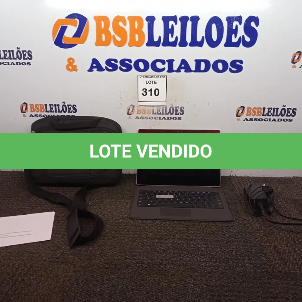 LOTE 310