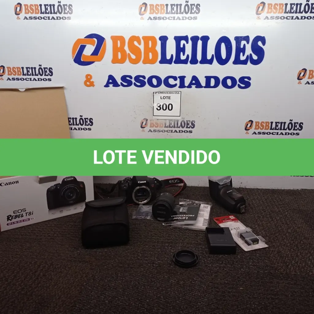 LOTE 300