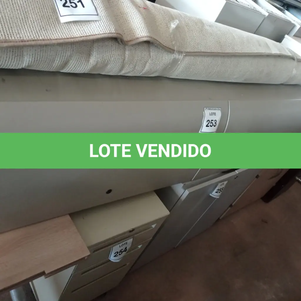 LOTE 253