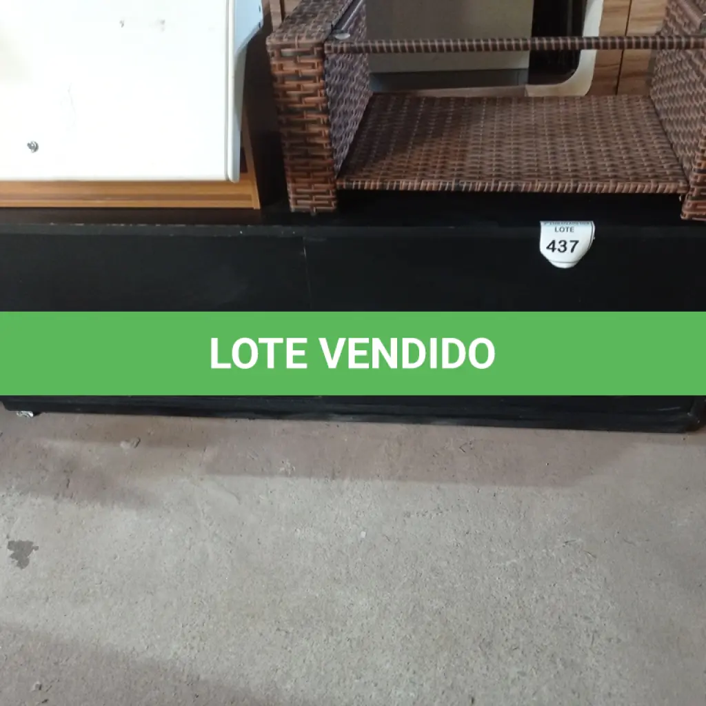 LOTE 437