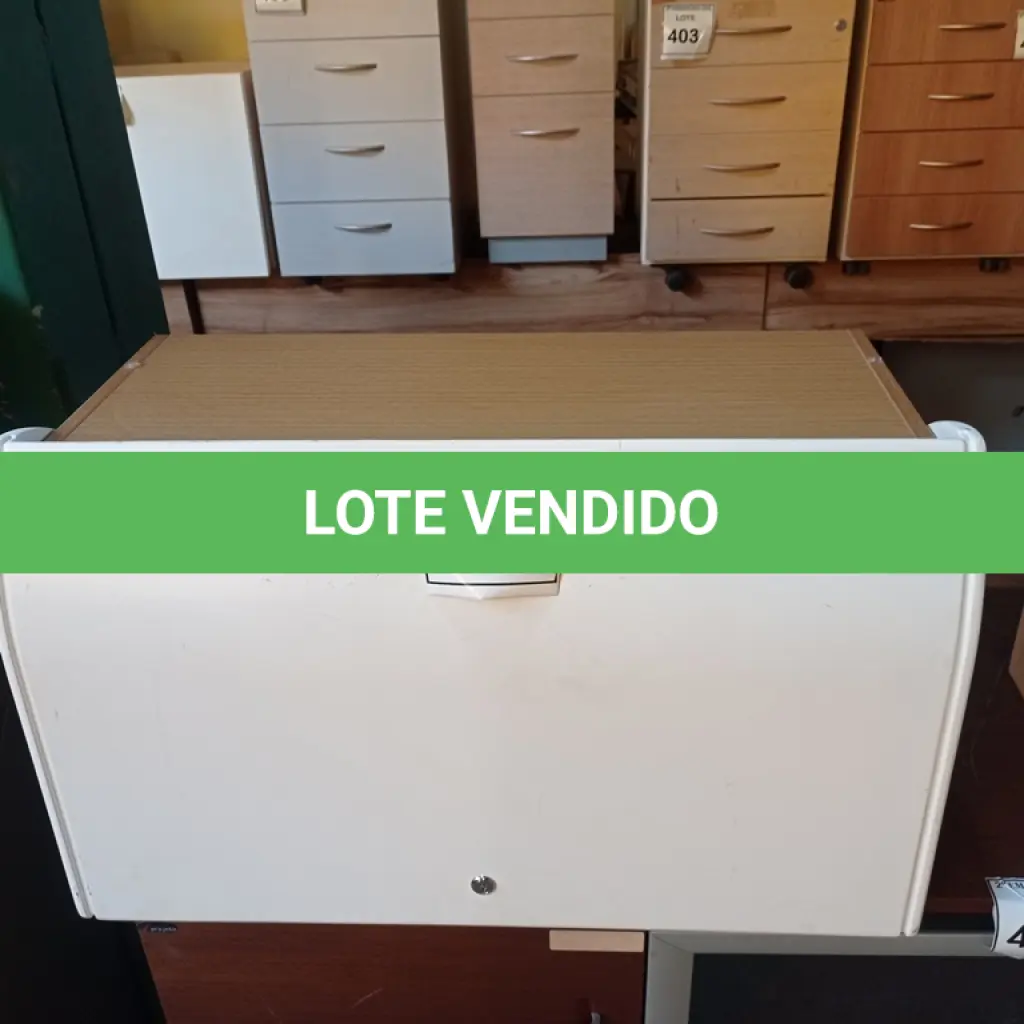 LOTE 446