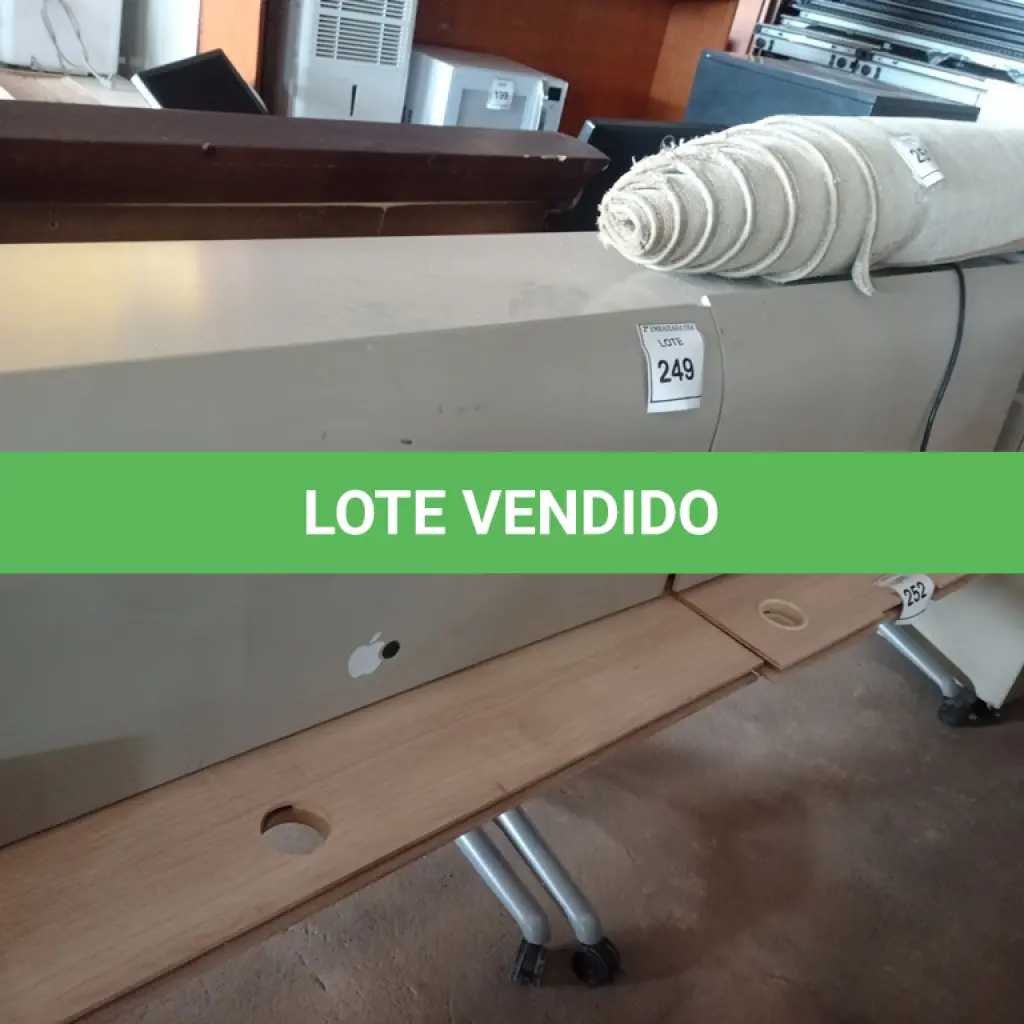 LOTE 249