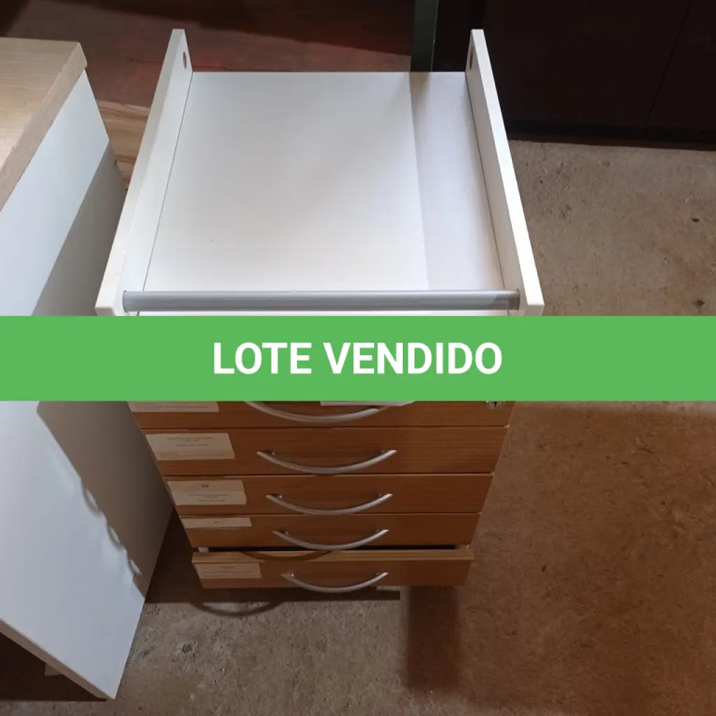LOTE 460