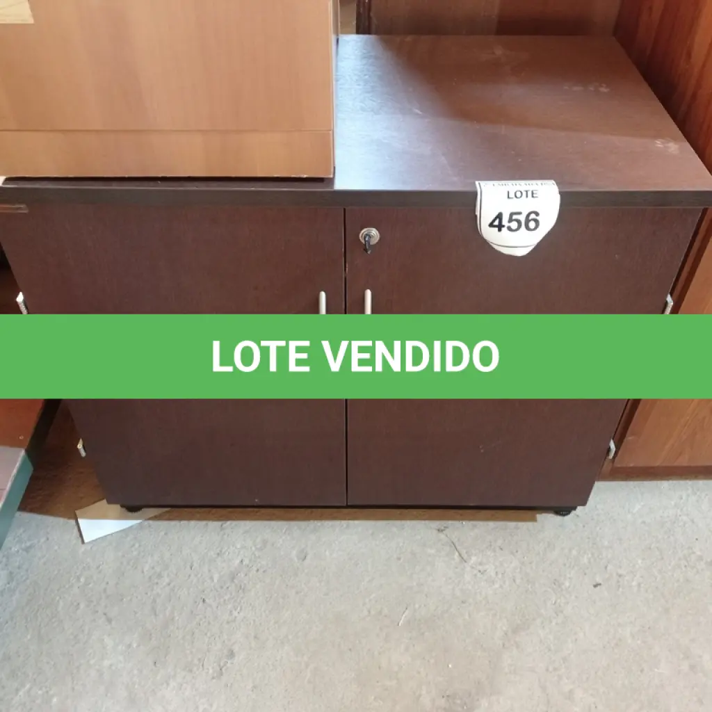 LOTE 456