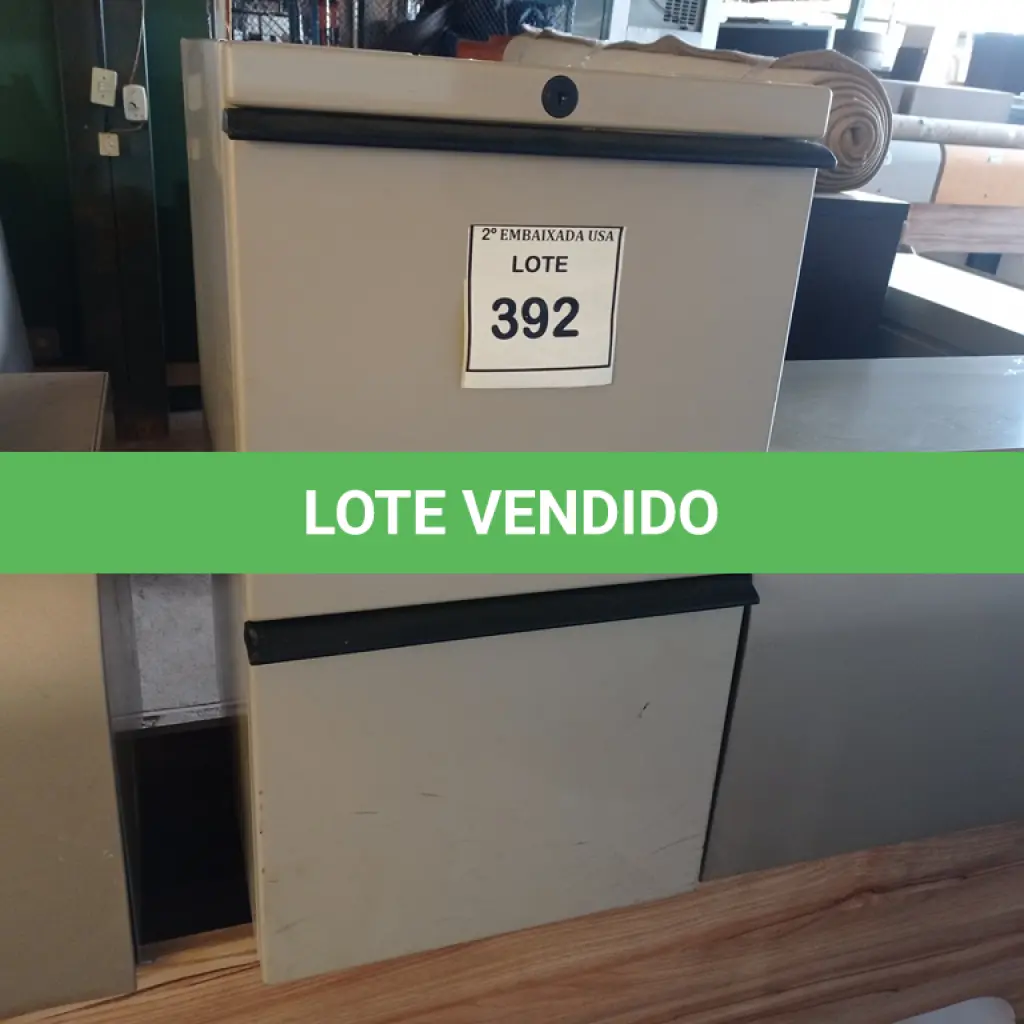 LOTE 392