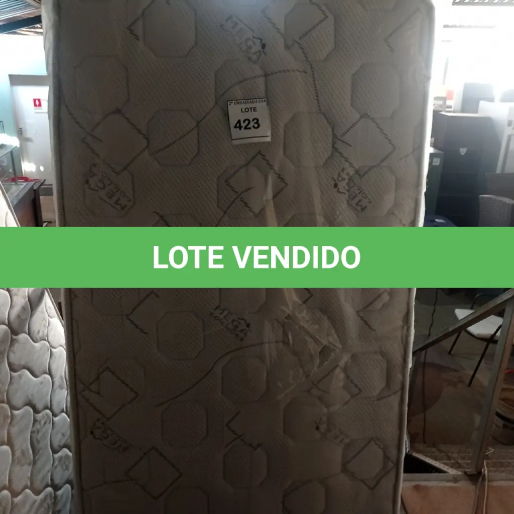LOTE 423