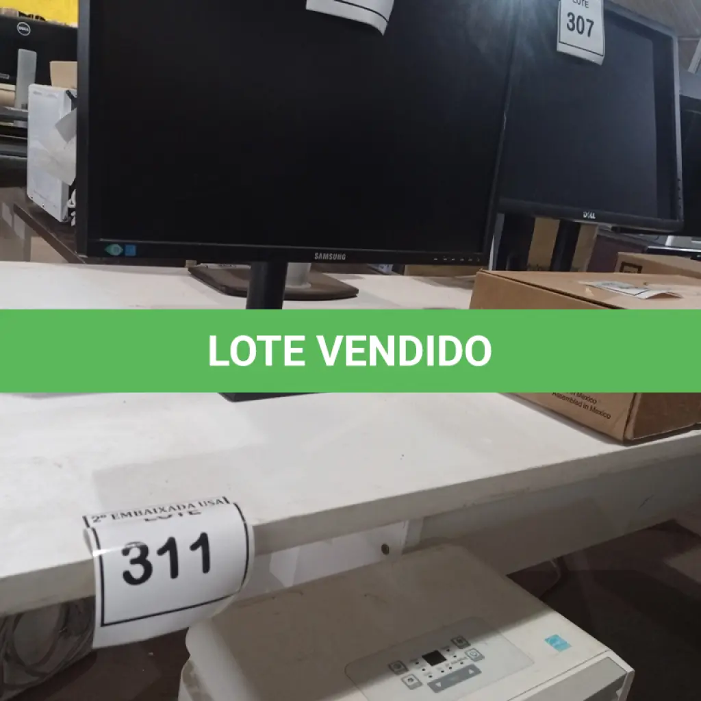 LOTE 311