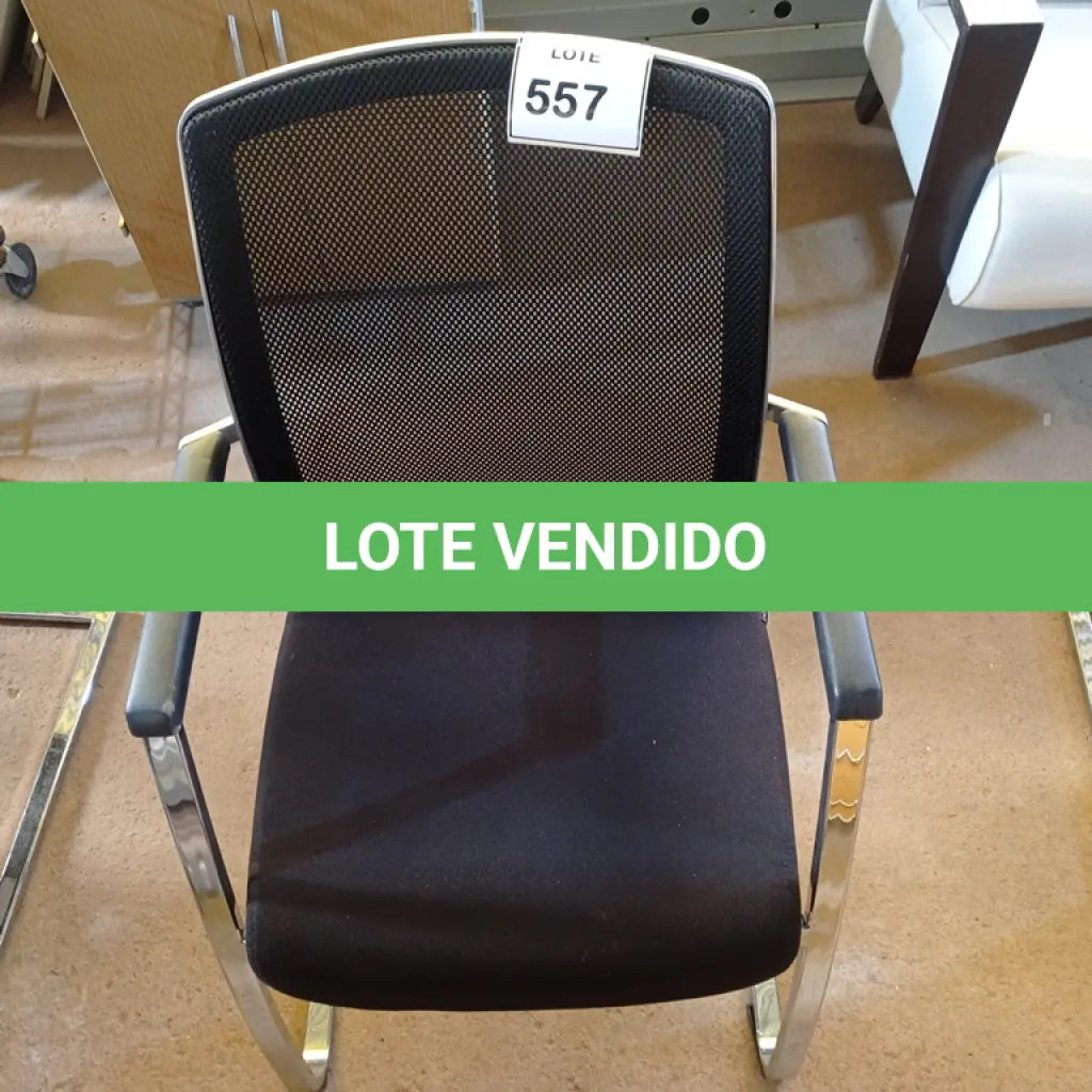 LOTE 557