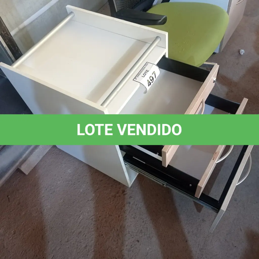 LOTE 497
