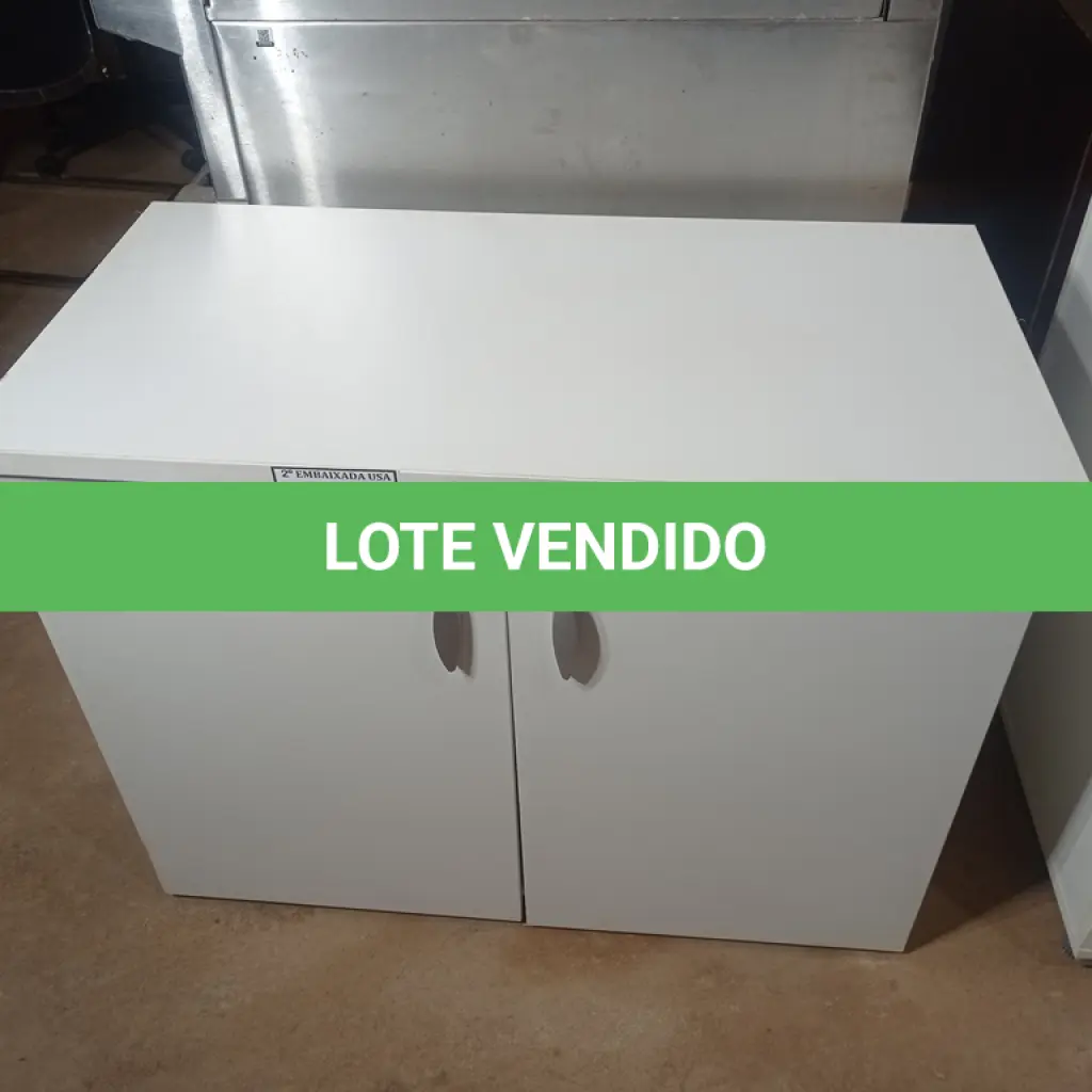 LOTE 485