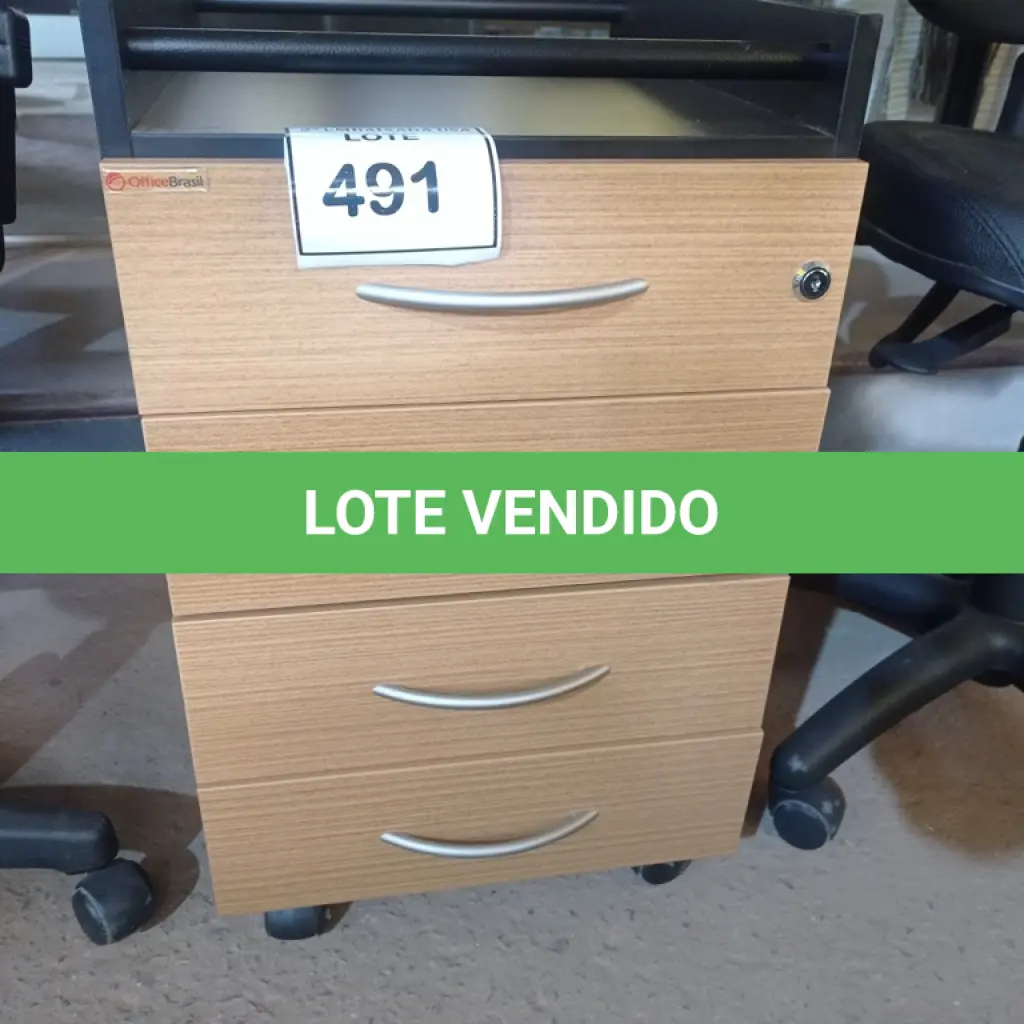 LOTE 491