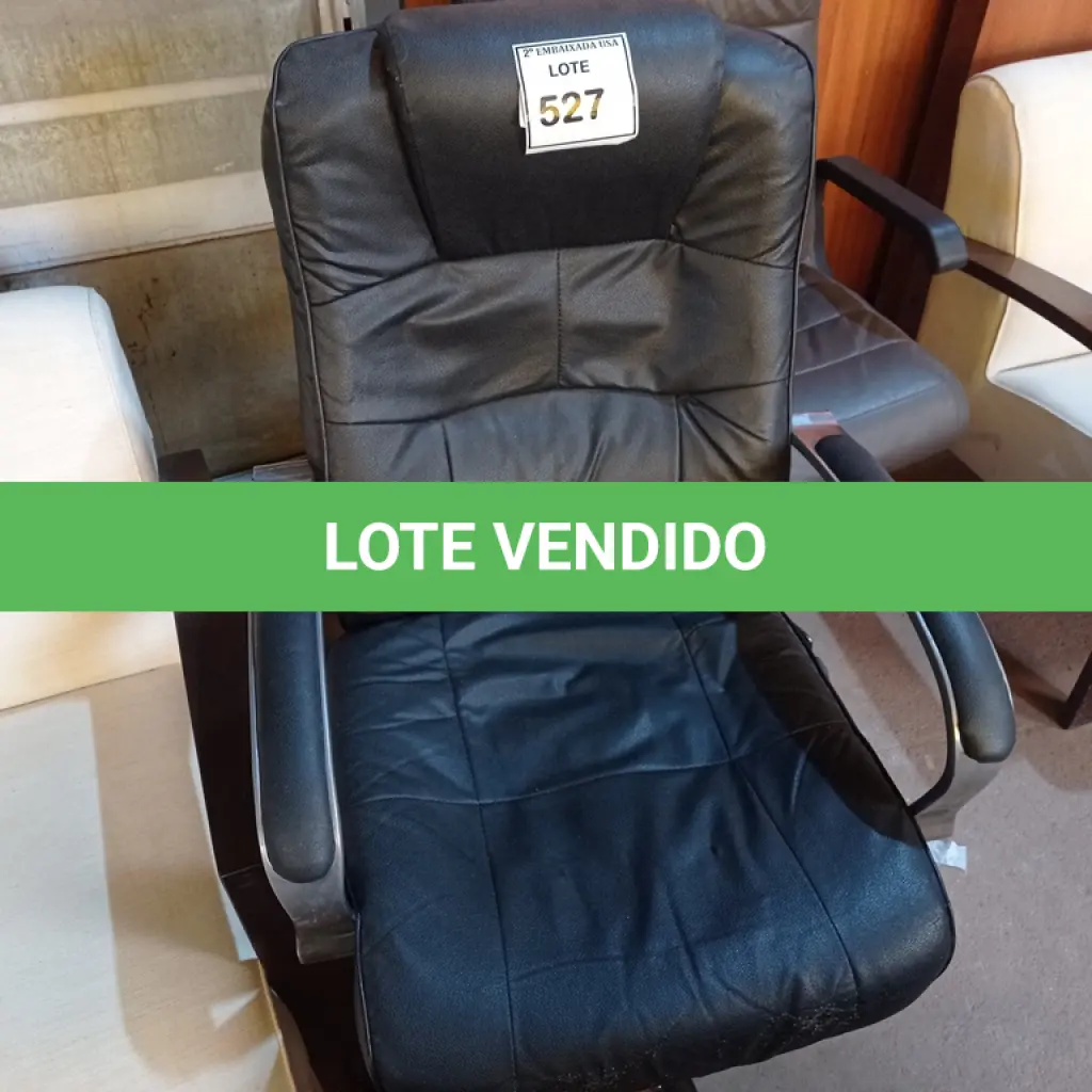 LOTE 527