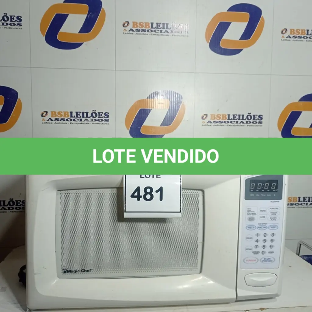 LOTE 481