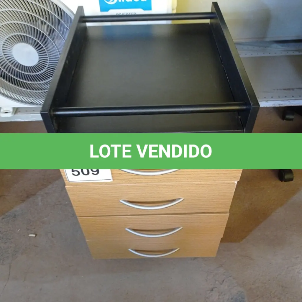 LOTE 509