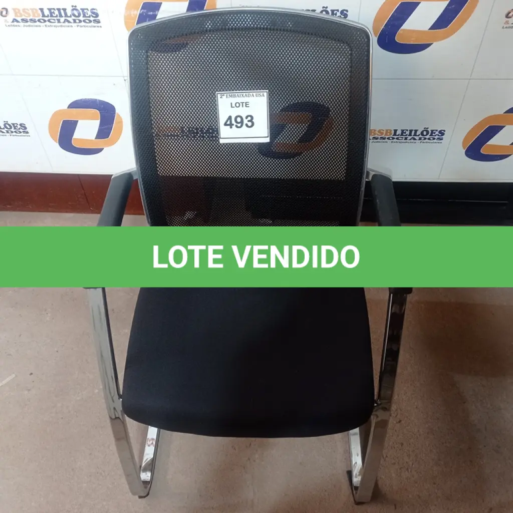 LOTE 493