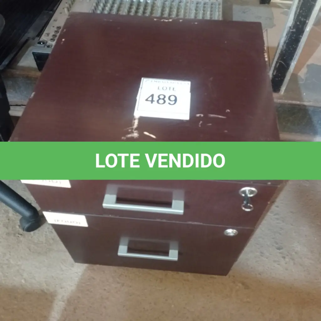 LOTE 489