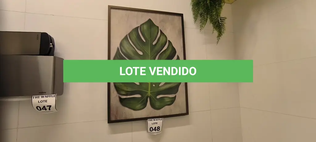 LOTE 048
