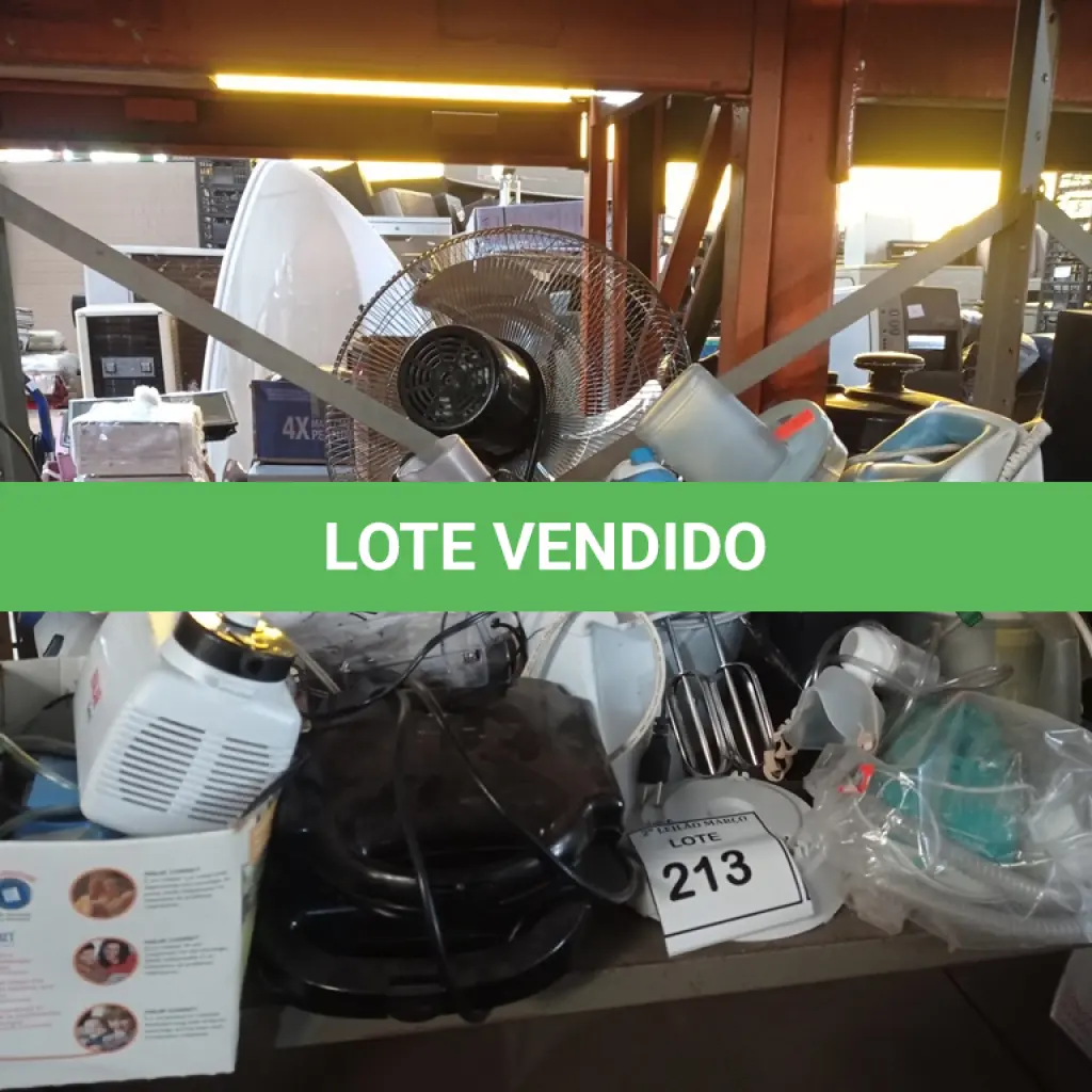 LOTE 213