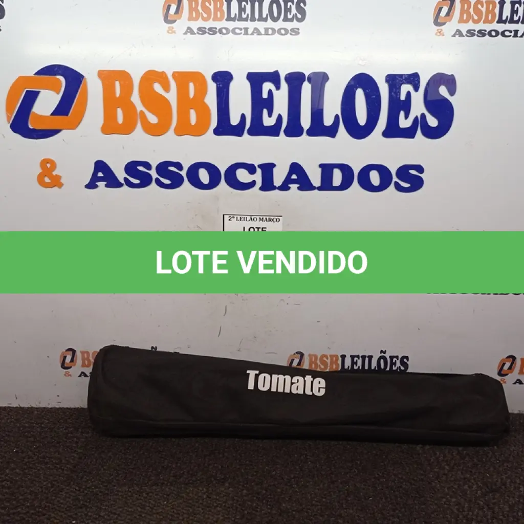 LOTE 176