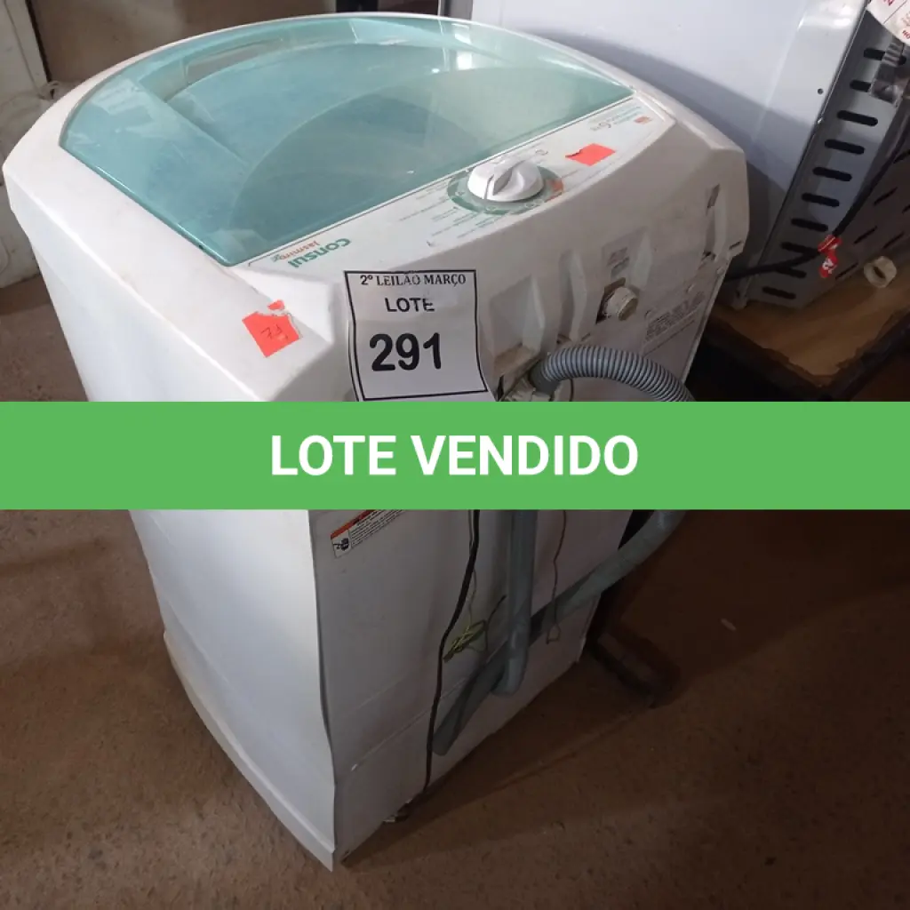LOTE 291