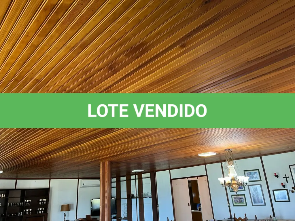 LOTE 508