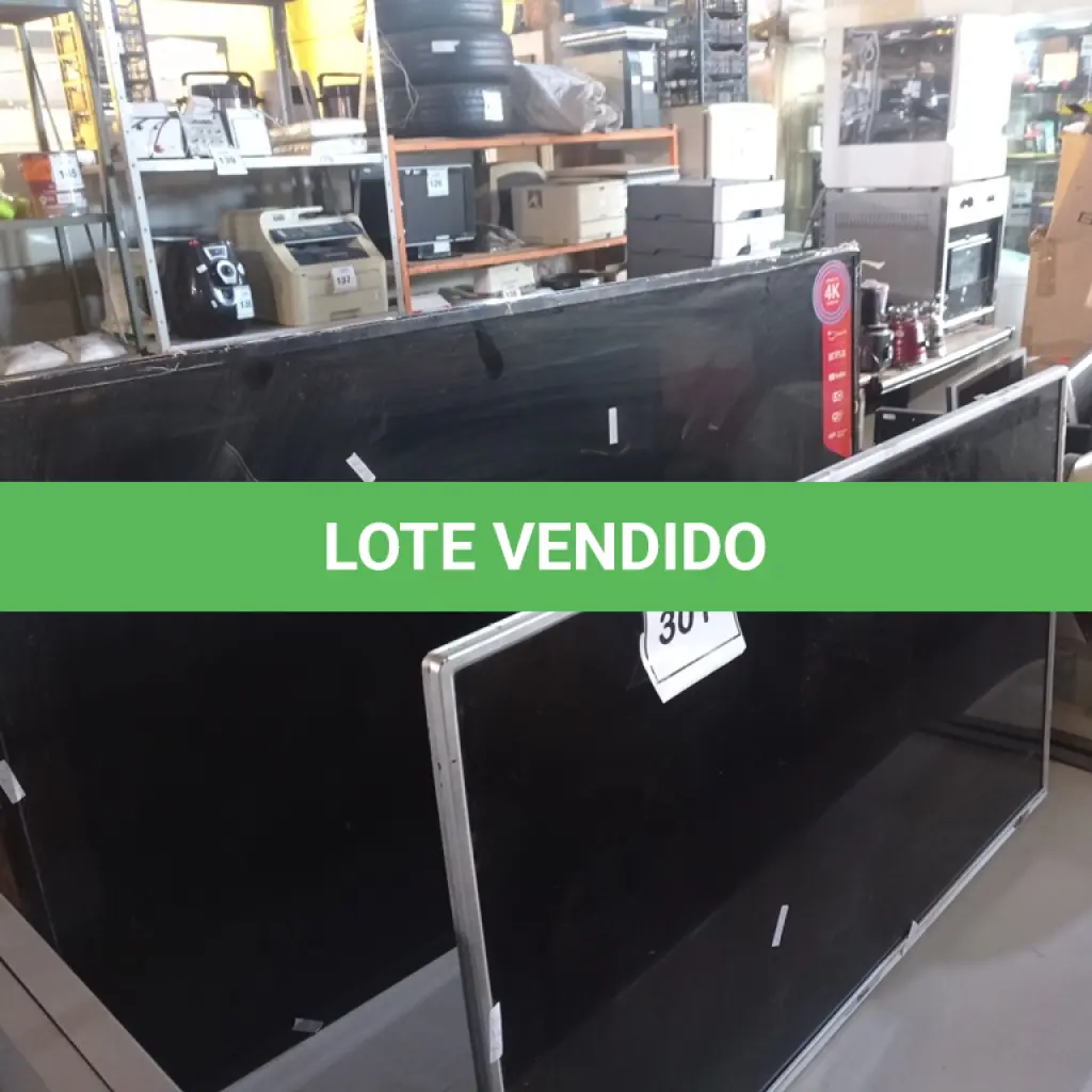 LOTE 301