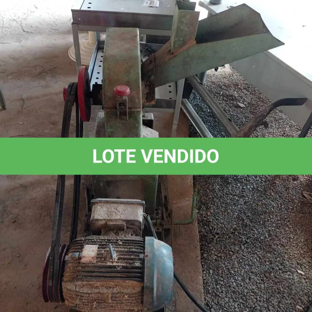 LOTE 504
