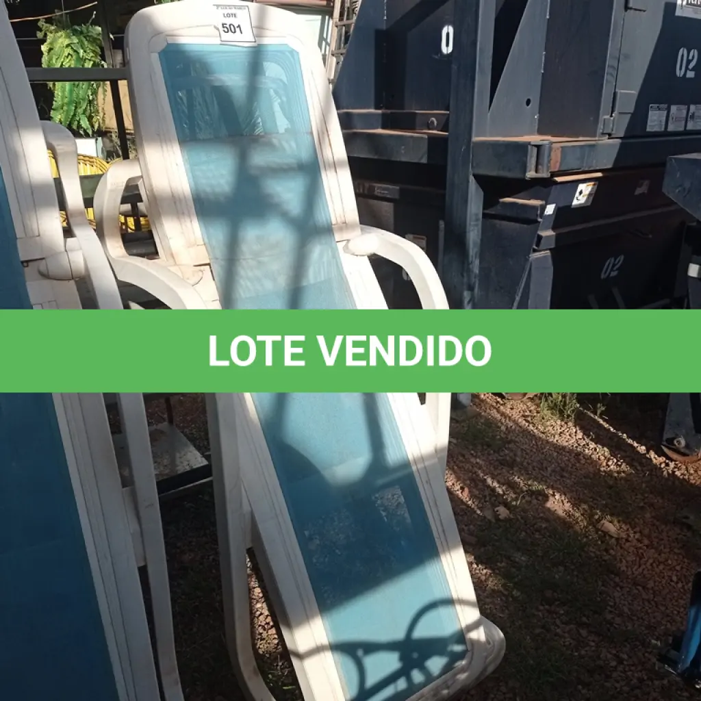 LOTE 501