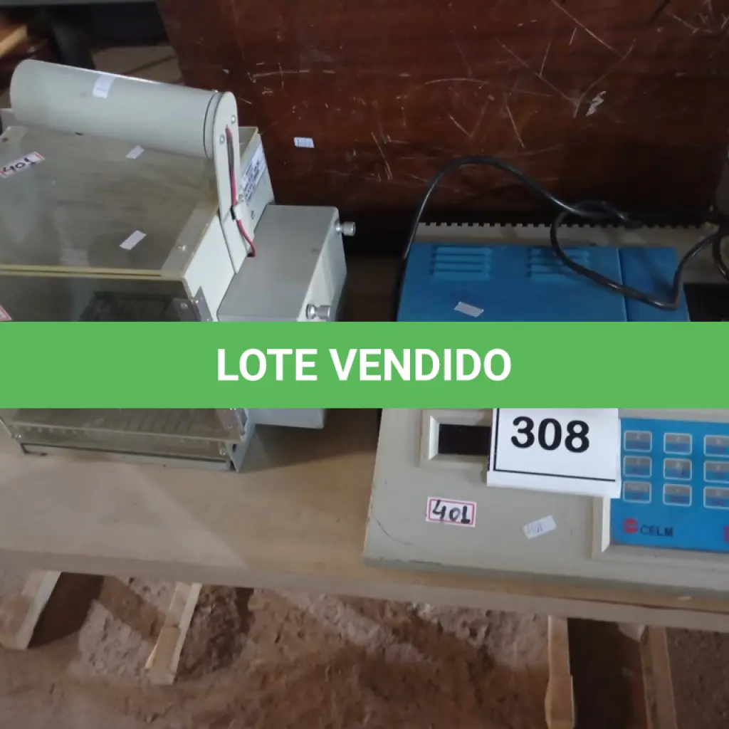 LOTE 308