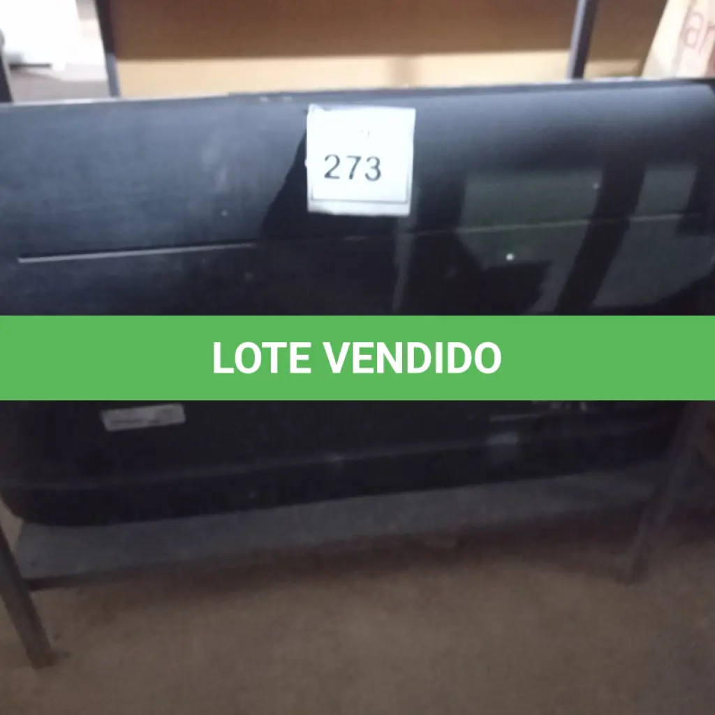 LOTE 273