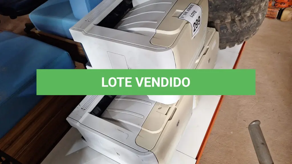 LOTE 299