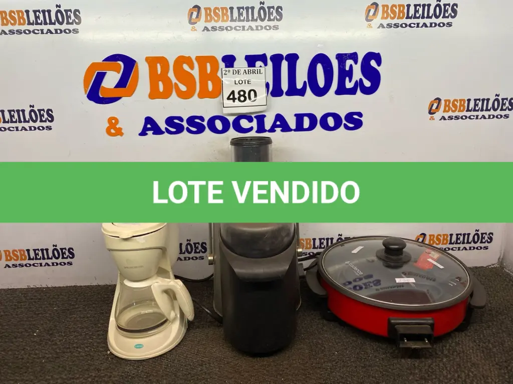 LOTE 480