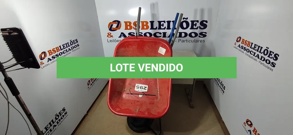 LOTE 295