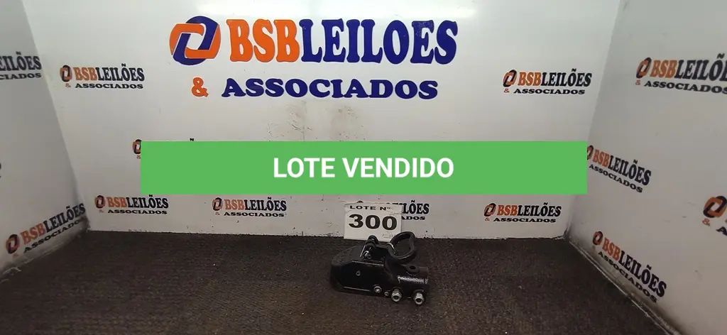 LOTE 300