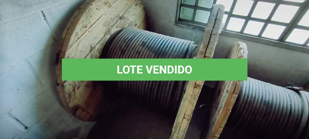 LOTE 107