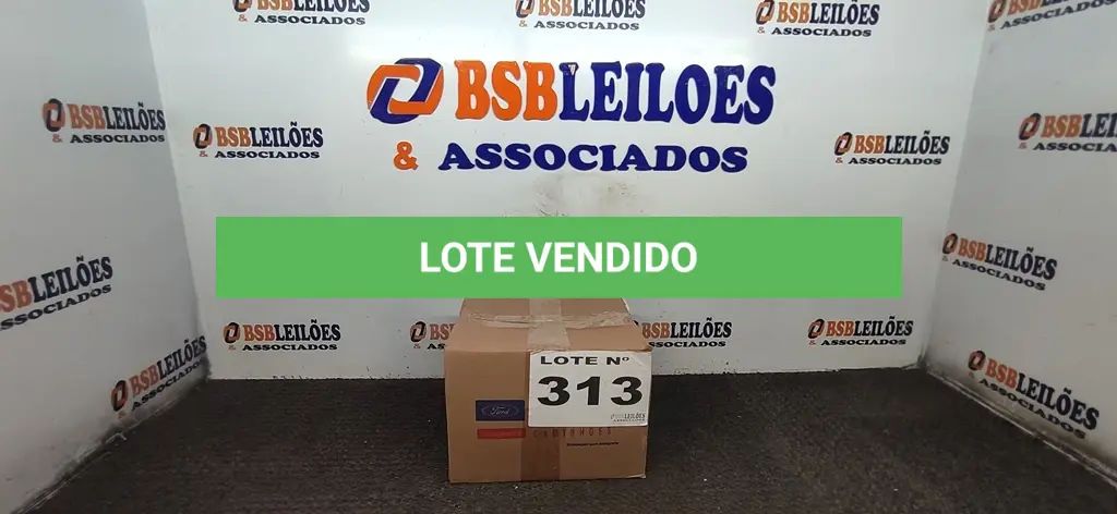 LOTE 313
