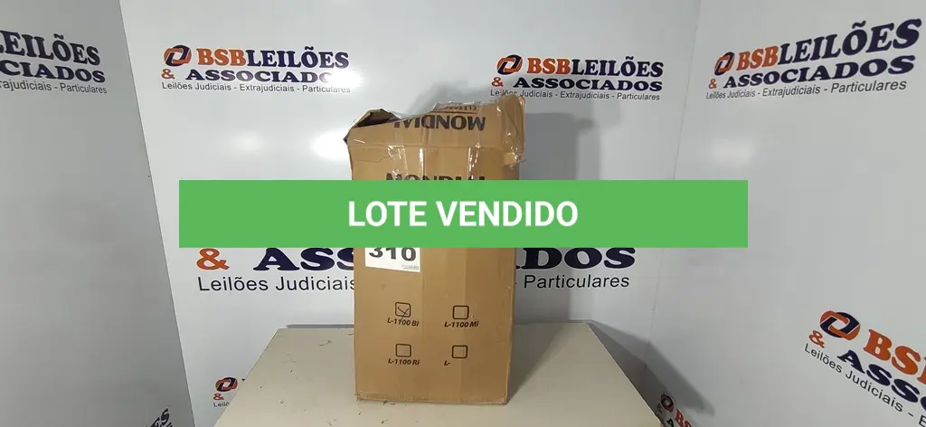 LOTE 310