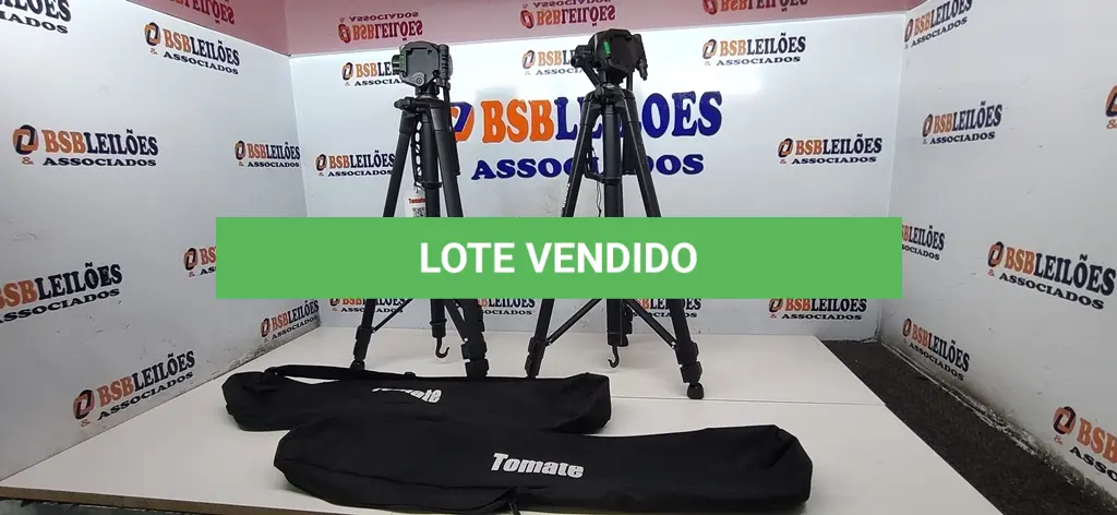 LOTE 386