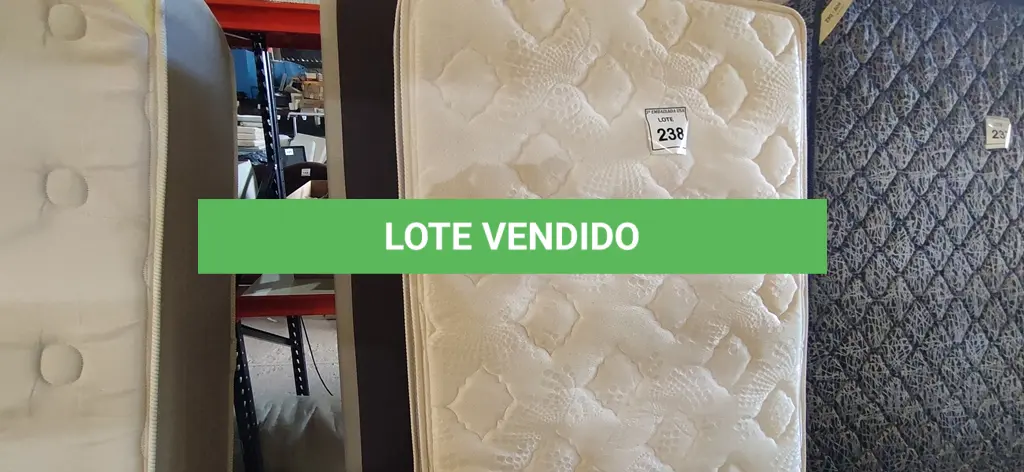 LOTE 238