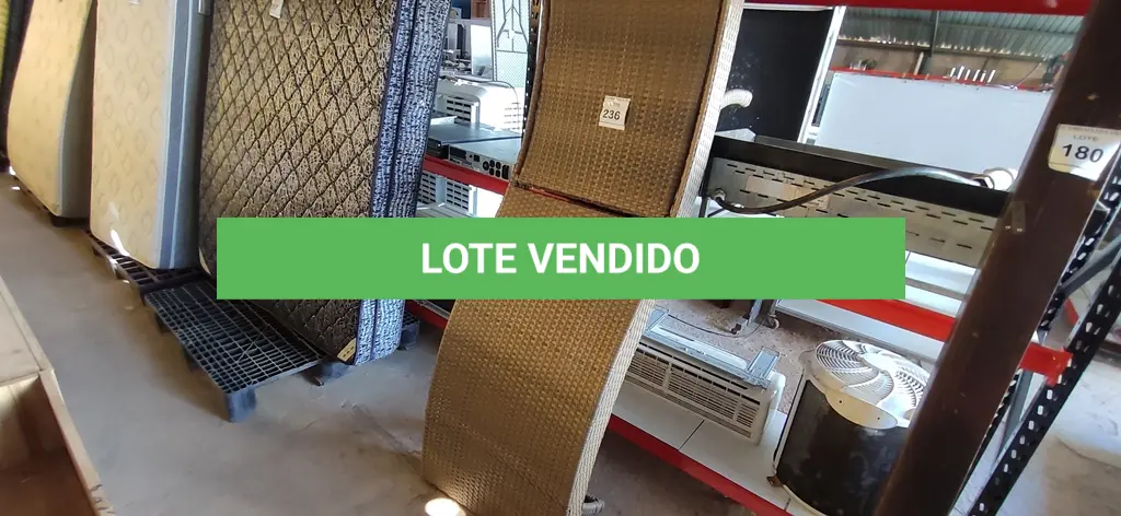 LOTE 236