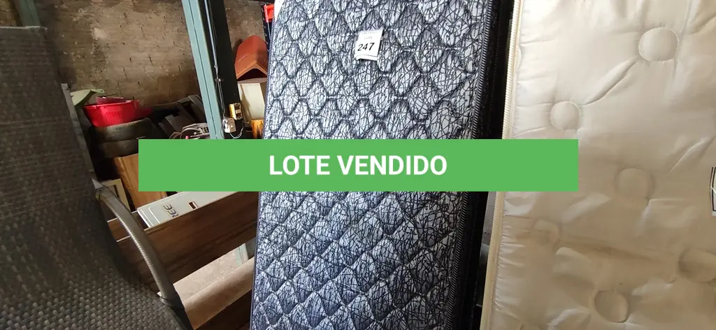LOTE 247