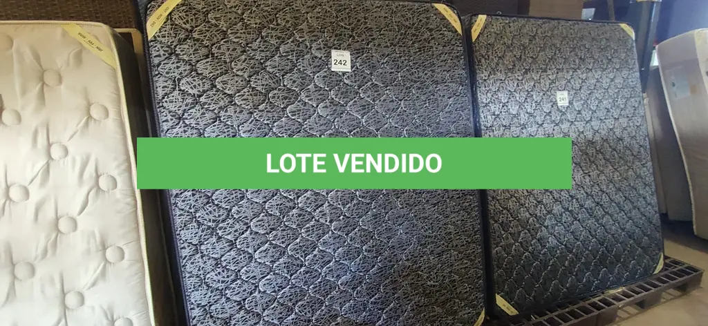 LOTE 241