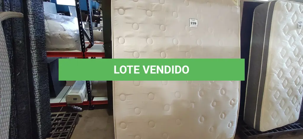 LOTE 239