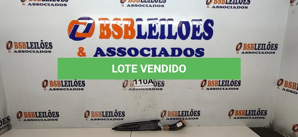LOTE 110