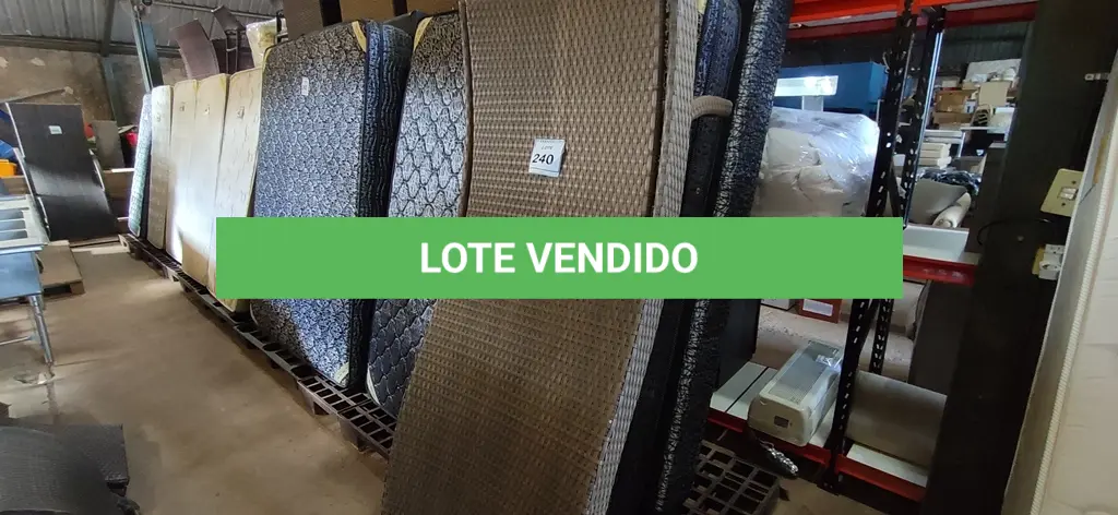 LOTE 240